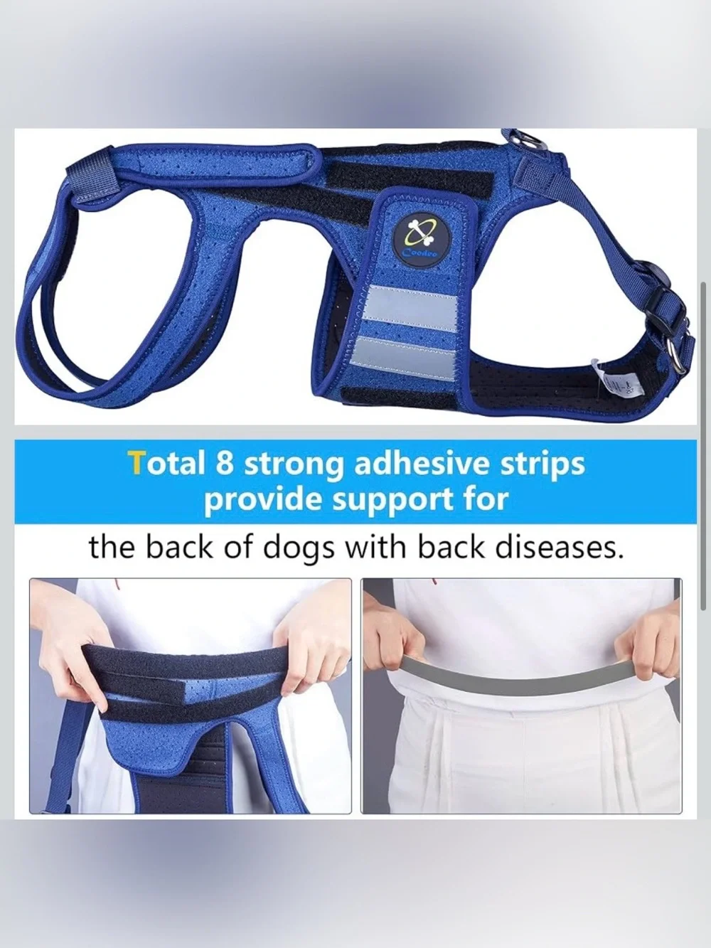 Dog Back Brace for  Arthritis, Pet Back Bracer for IVDD Back Protect 2188-1